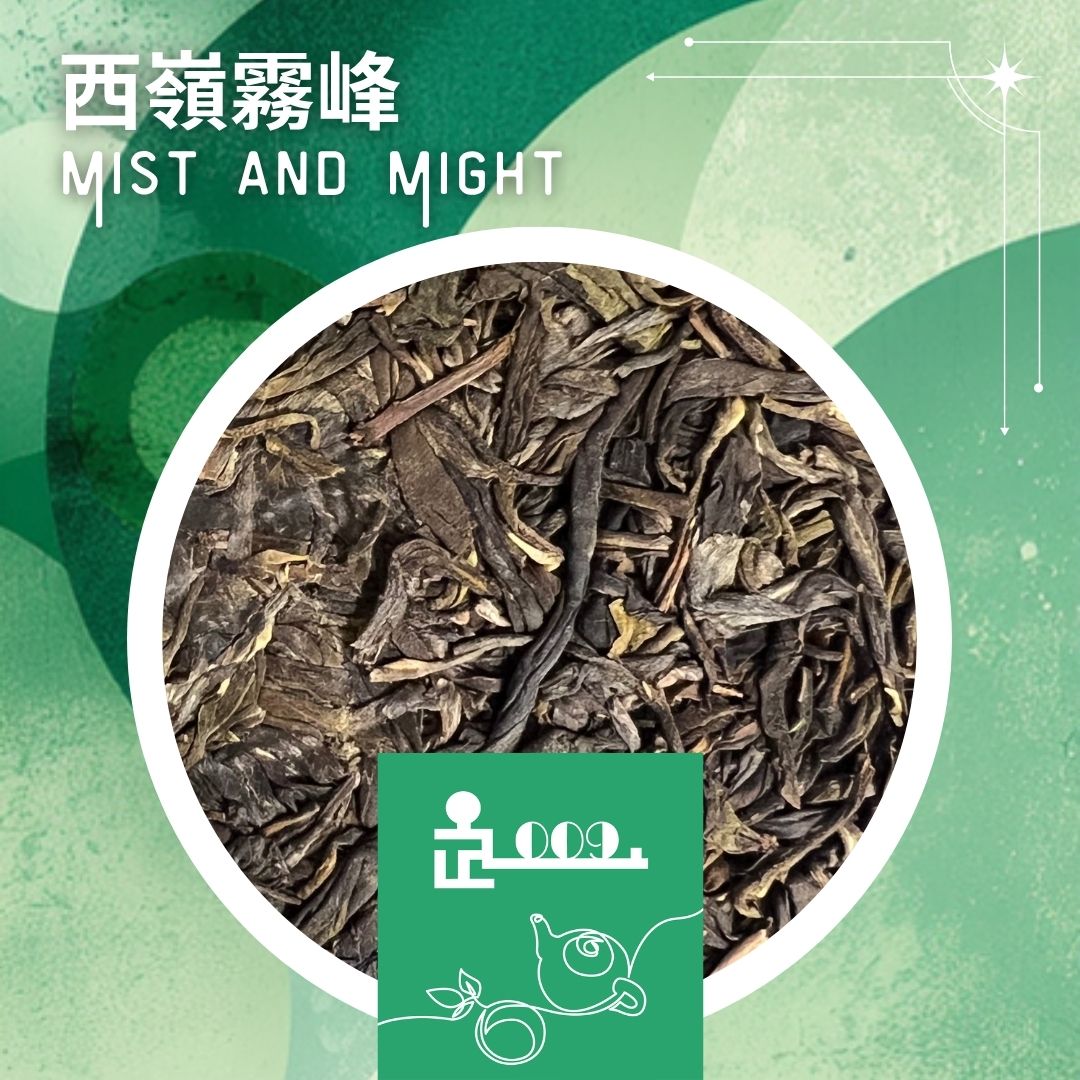 TL009 西巔霧峰