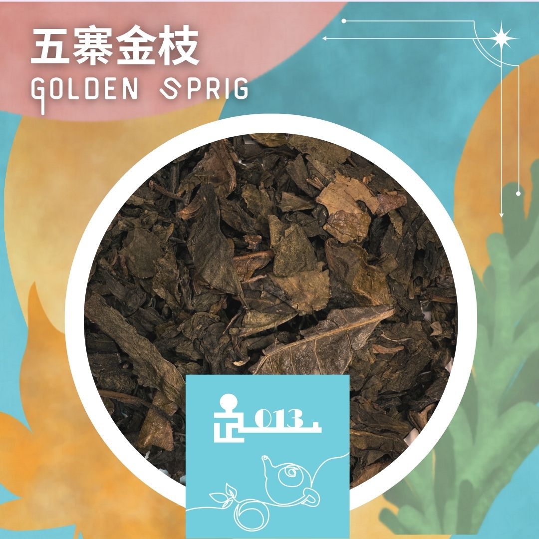 TL013 五寨。金枝