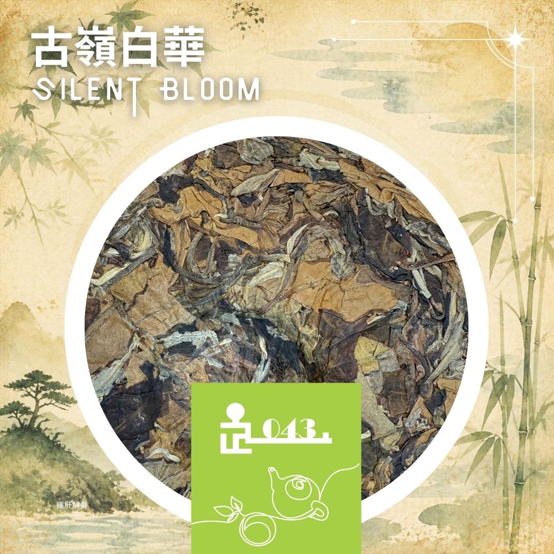 TL043 Silent Bloom