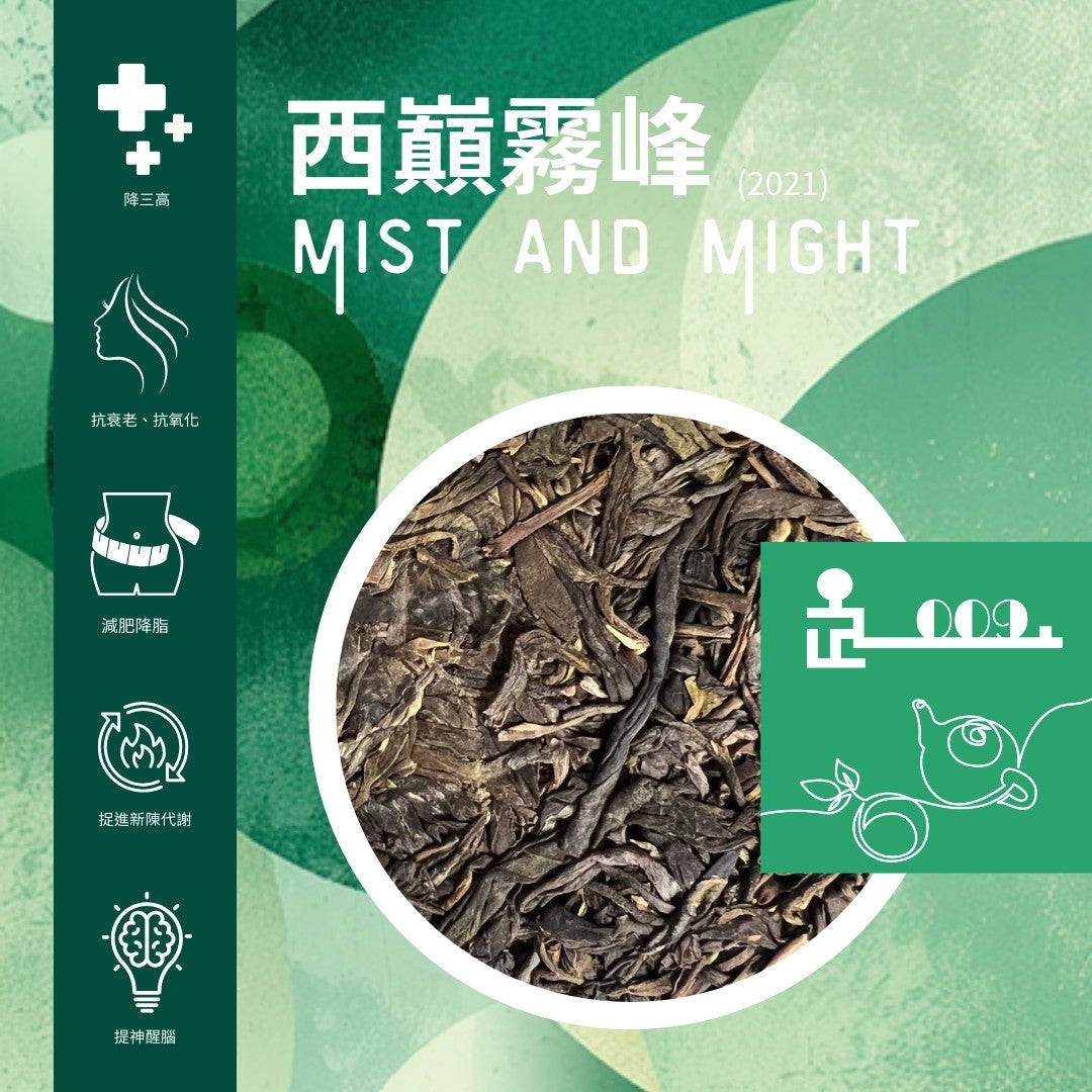 Mist & Might (TL009)
