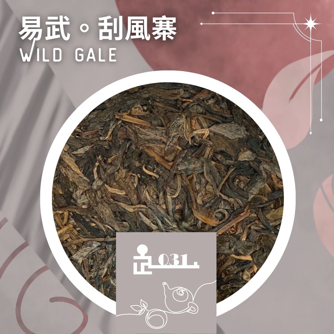 TL031 Wild Gale