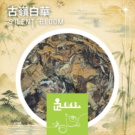TL043 Silent Bloom