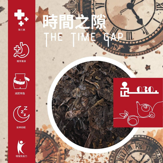 時間之隙 (時空限定 1999, 2011)